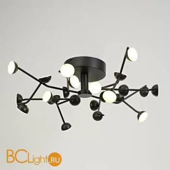 Потолочная люстра Mantra Adn 6423 - Фото 0