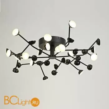 Потолочная люстра Mantra Adn 6422 - Фото 0