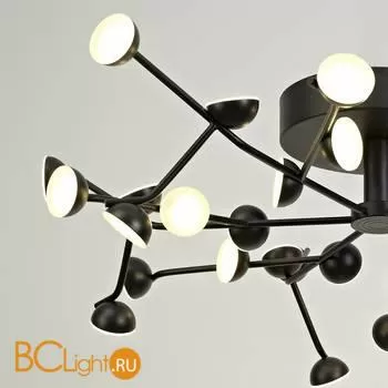 Потолочная люстра Mantra Adn 6422 - Фото 2