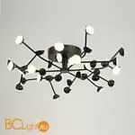 Потолочная люстра Mantra Adn 6422 - Фото 0