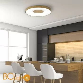 Потолочный светильник Mantra Coin 7562 - Фото 1