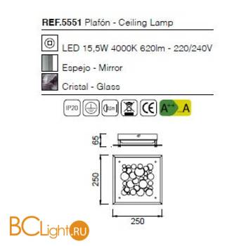 Потолочный светильник Mantra Coral 5551 - Схема