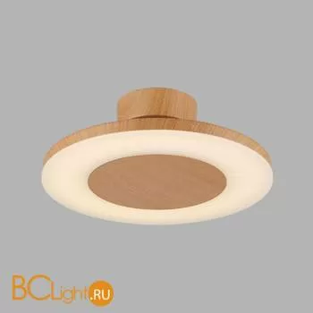 Потолочный светильник Mantra Discobolo 4495