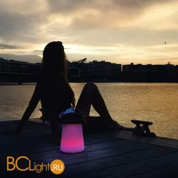 Настольная лампа Mantra Funghi 3697 - Фото 2