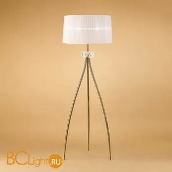 Напольный светильник Mantra Loewe 4738