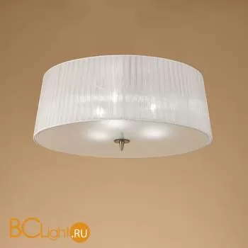 Потолочный светильник Mantra Loewe 4740