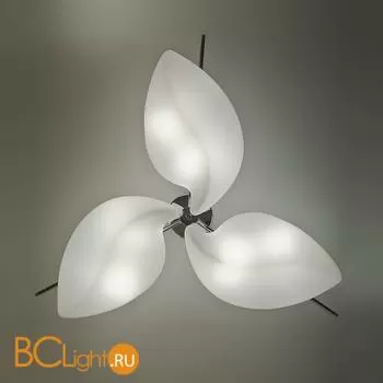 Потолочный светильник Mantra Natura 3586