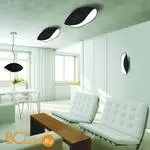 Подвесной светильник Mantra Pasion 1951 - Фото 0