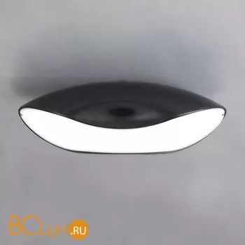 Потолочный светильник Mantra Pasion 1957