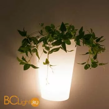 Настенный светильник Mantra Teja 6508 - Фото 0