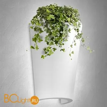 Настенный светильник Mantra Teja 6508