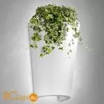 Настенный светильник Mantra Teja 6508