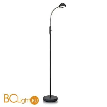 Торшер MarkSlojd Angus 105422