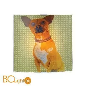 Настенный светильник MarksLojd CHIWAWA 105245