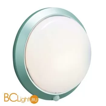 Уличный потолочный светильник MarkSlojd Celtic 125028