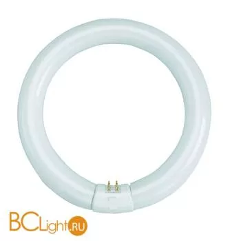 Лампа MarkSlojd Cirkellysror G10Q 22W 472612