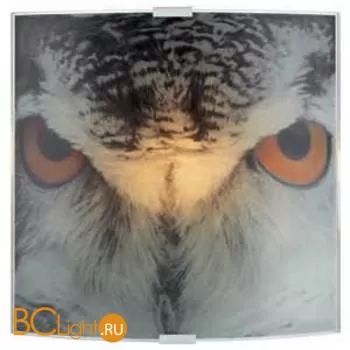 Настенный светильник MarksLojd Owl 105242