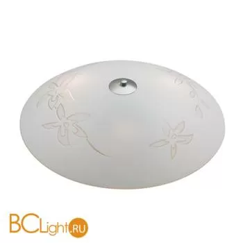 Настенно-потолочный светильник MarksLojd ORCHID 183541-494412