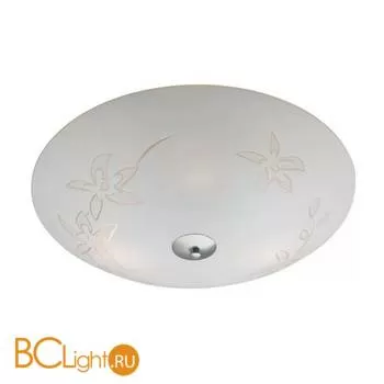 Настенно-потолочный светильник MarksLojd Orchid 183341-494212