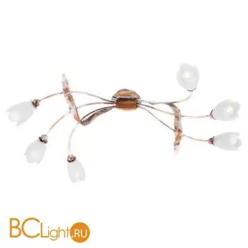 Потолочная люстра Masca Fleur de Mai 1634/6 Decape / Glass 219