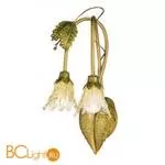 Бра Masca Fragon 1665/A2 Lichene / Glass 298