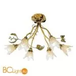Потолочная люстра Masca Fragon 1665/6PL Lichene / Glass 298