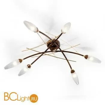 Потолочная люстра Masca Shanghai 1870/6PL Brownies oro / Glass 591