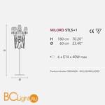 Торшер Masiero Milord STL5+1 VV Red / ORG/12/RD - Схема