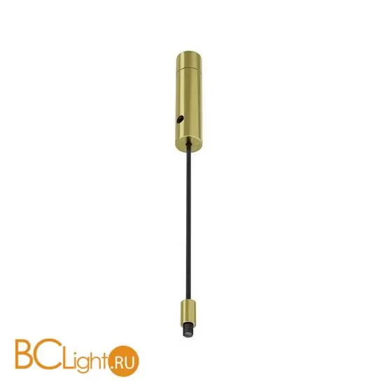 Основание и тросовый подвес для системы Axity Maytoni Accessories for system CA009PM-BS Основание и тросовый подвес для системы Axity Maytoni Accessories for system CA009PM-BS