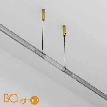 Основание и тросовый подвес для системы Axity Maytoni Accessories for system CA009PM-BS - Фото 3