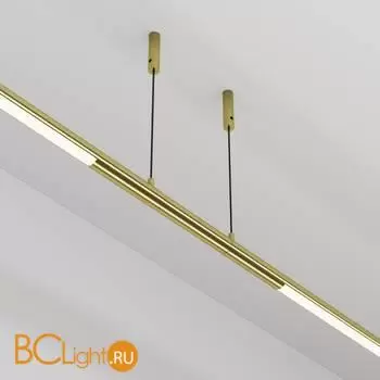 Основание и тросовый подвес для системы Axity Maytoni Accessories for system CA009PM-BS - Фото 1