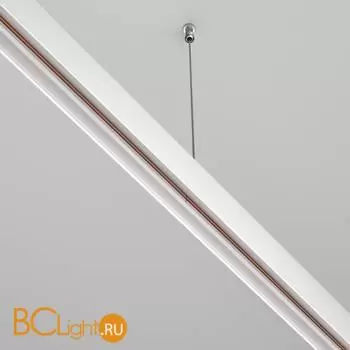 Коннектор шинопровода Maytoni Accessories for tracks Exility TRA034C-21W - Фото 1