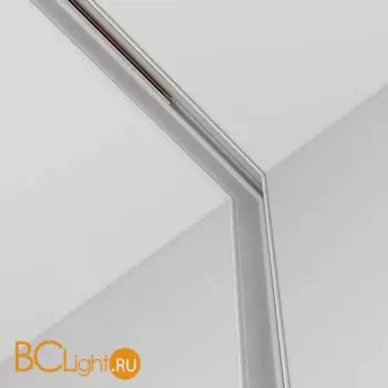 Коннектор шинопровода Maytoni Accessories for tracks Exility TRA034ICL-42.12W - Фото 2