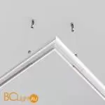 Коннектор шинопровода Maytoni Accessories for tracks Exility TRAM034CL-R-41W - Фото 1