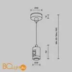 Подвес тросовый Maytoni Accessories for tracks Flarity TRA157SW-S1-PT - Фото 3