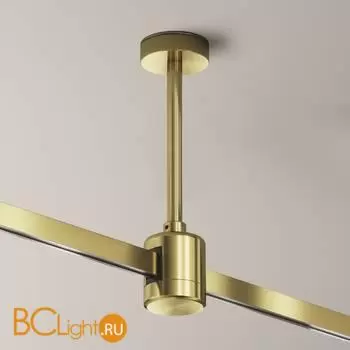 Крепление потолочное Short 138мм с прямым коннектором питания Flarity латунь Maytoni Accessories for tracks TRA156C-IPCL1-BS - Фото 2