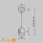 Подвес тросовый Hang с прямым коннектором питания Flarity платина Maytoni Accessories for tracks TRA157SW-IPC1-PT - Фото 3