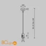 Подвес тросовый Hang с вводом питания Flarity платина Maytoni Accessories for tracks TRA157SW-B1-PT - Фото 3