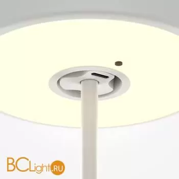 Настольная лампа Maytoni AI Collaboration MOD229TL-L3W3K2 - Фото 2