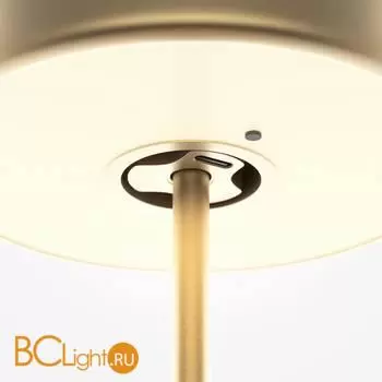 Настольная лампа Maytoni AI Collaboration MOD229TL-L3G3K2 - Фото 2