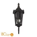 Уличный настенный светильник Maytoni Albion O413WL-01BZ1