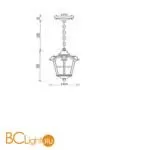 Уличный подвесной светильник Maytoni Albion O413PL-01GB - Фото 0