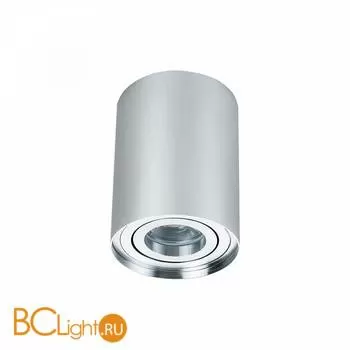 Потолочный светильник Maytoni Alfa C016CL-01S