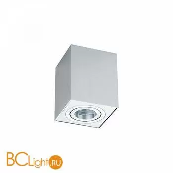 Потолочный светильник Maytoni Alfa C017CL-01S