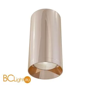 Потолочный светильник Maytoni Alfa C010CL-01RG