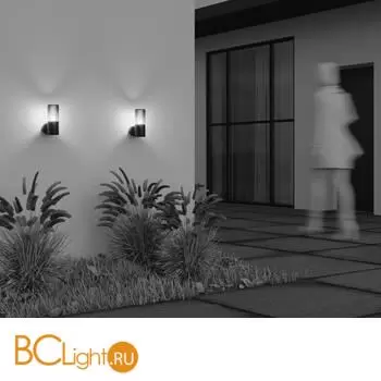 Бра Maytoni Amas O432WL-01GF - Фото 5