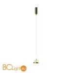 Подвесной светильник Maytoni Area new MOD295PL-L20BS3K