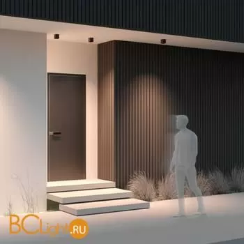 Уличный потолочный светильник Maytoni Ares O309CL-L8GF3K - Фото 5