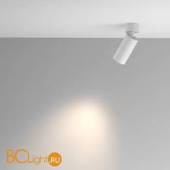 Потолочный светильник Maytoni Artisan C082CL-01-GU10-W - Фото 2