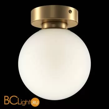 Настенно-потолочный светильник Maytoni Basic form MOD321WL-01G1